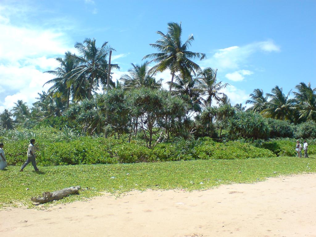 plaza na sri lance